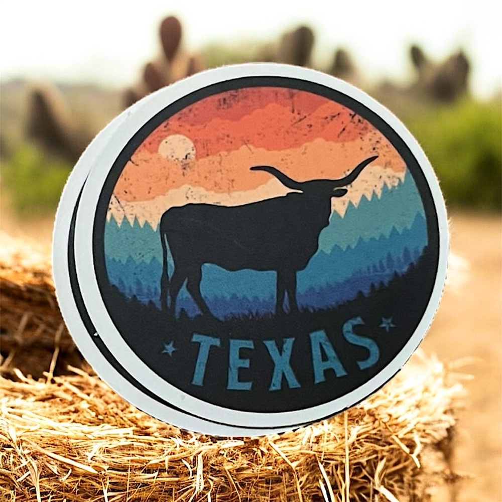 Texas Matte Finish PVC Removable Waterproof Decor Accent St…